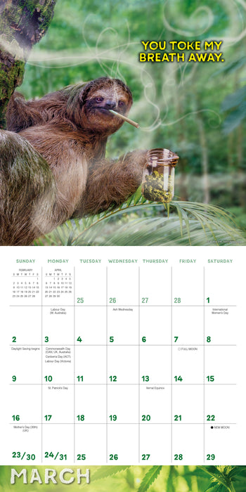 2025 Stoner Sloths Wall Calendar