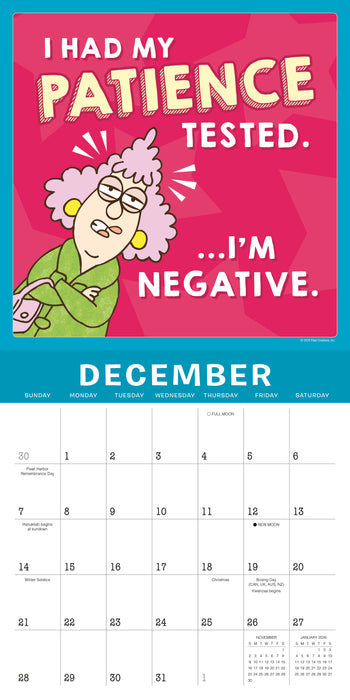 2025 Aunty Acid Wall Calendar