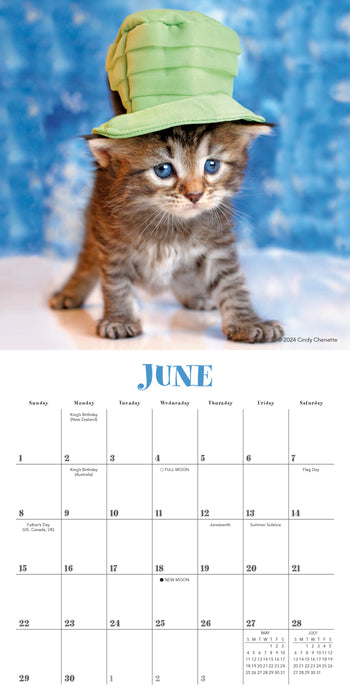 2025 Cats in Hats Mini Wall Calendar