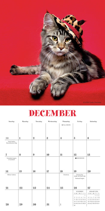 2025 Cats in Hats Mini Wall Calendar