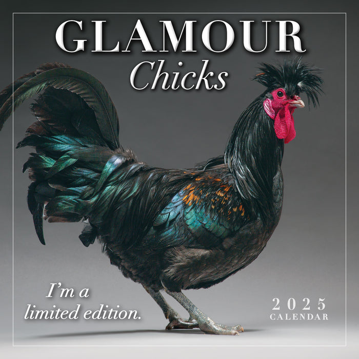 2025 Glamour Chicks Mini Wall Calendar