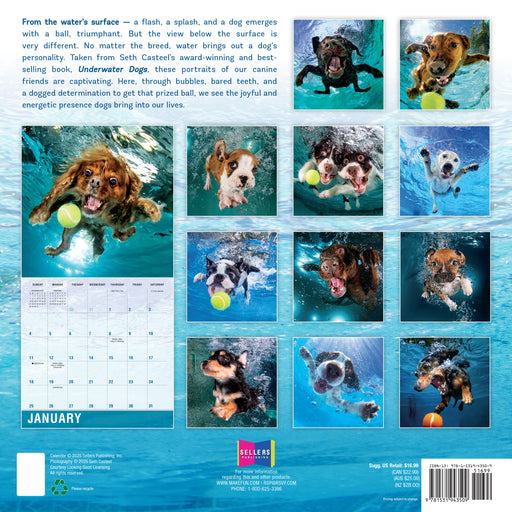 Underwater Dogs 2026 Square Wall Calendar