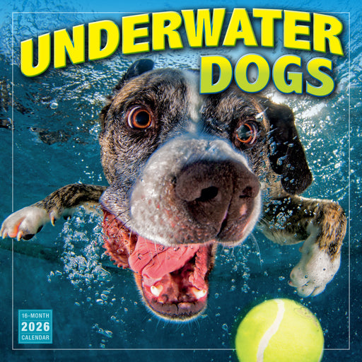 Underwater Dogs 2026 Square Wall Calendar