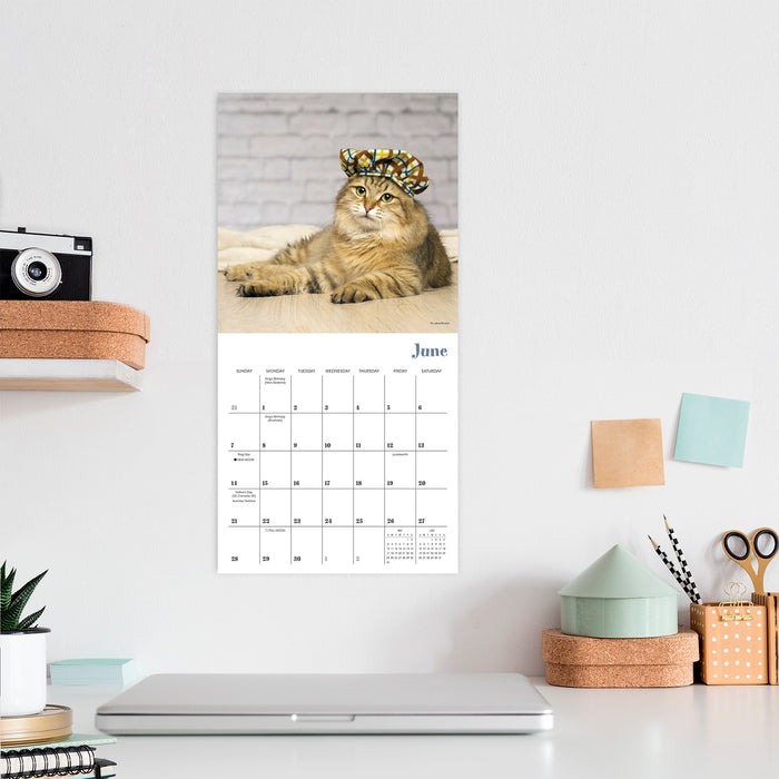 Cats in Hats 2026 Mini Wall Calendar