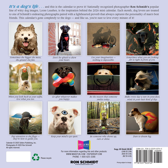 Dogma A Dog s Guide to Life R Schmidt 2026 Mini Wall Calendar