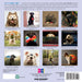 Dogma A Dog s Guide to Life R Schmidt 2026 Mini Wall Calendar