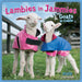 Lambies in Jammies and Goats in Coats 2026 Mini Wall Calendar