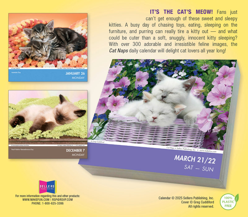 Cat Naps 2026 Page-A-Day Calendar