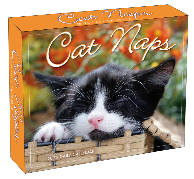 Cat Naps 2026 Page-A-Day Calendar