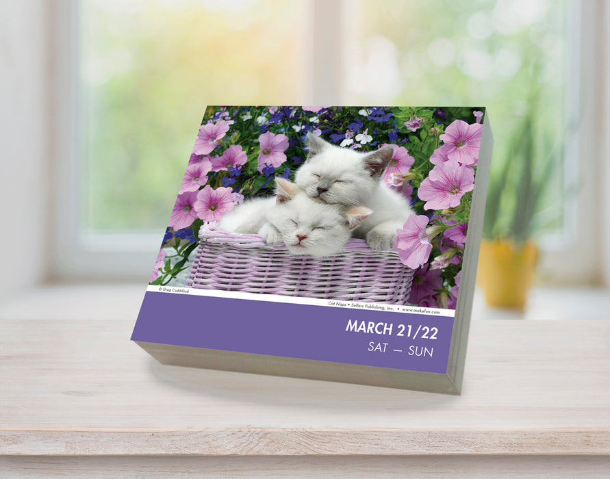 Cat Naps 2026 Page-A-Day Calendar