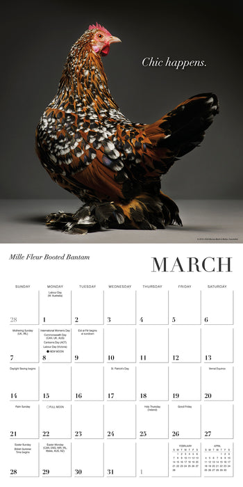Glamour Chicks 2027 Square Wall Calendar