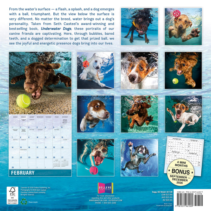Underwater Dogs 2027 Square Wall Calendar
