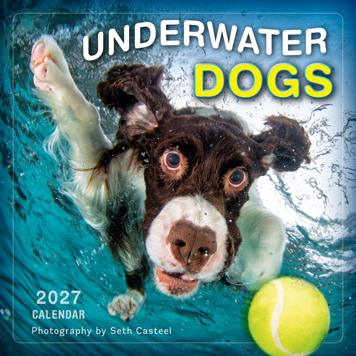 Underwater Dogs 2027 Square Wall Calendar