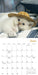 Cats in Hats 2027 Mini Wall Calendar
