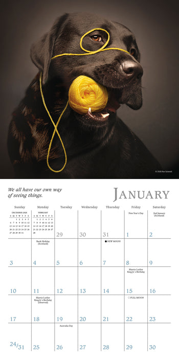 Dogma A Dog's Guide to Life 2027 Mini Wall Calendar