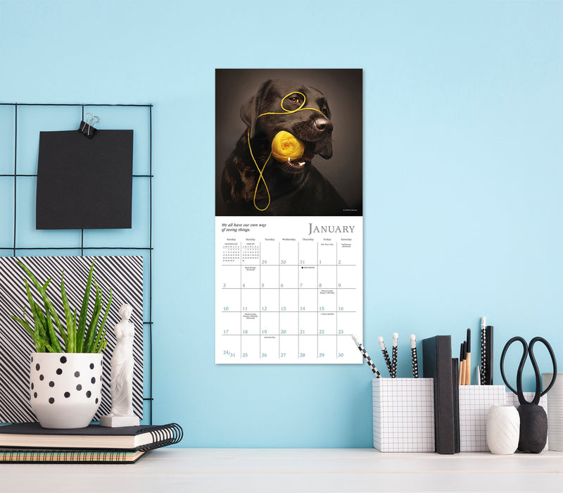Dogma A Dog's Guide to Life 2027 Mini Wall Calendar