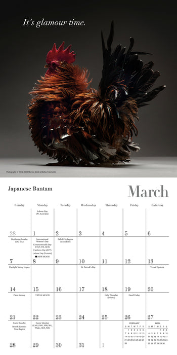 Glamour Chicks 2027 Mini Wall Calendar