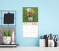 Lambies in Jammies and Goats 2027 Mini Wall Calendar