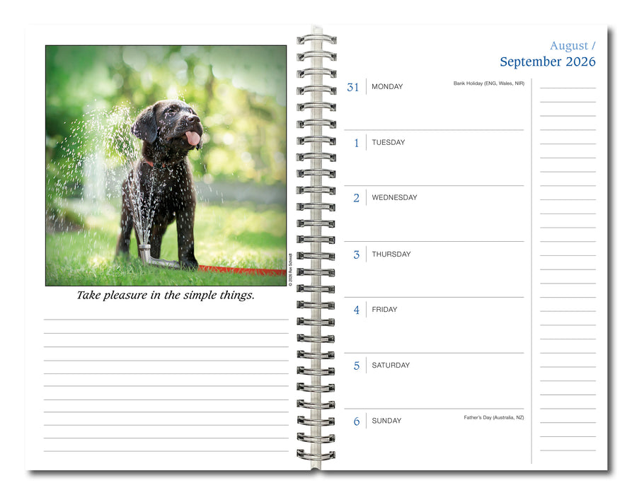 Dogma A Dog's Guide to Life R Schmidt 2027 Weekly Diary
