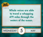 OMG Facts Hard to Believe true 2027 Page-A-Day Calendar