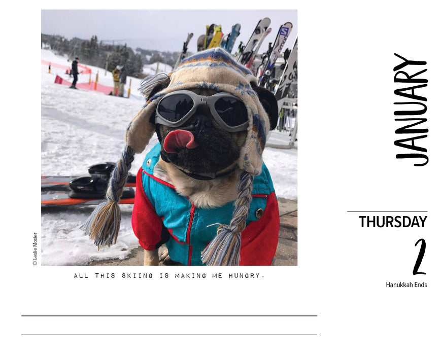 2025 Doug the Pug Page-A-Day Calendar