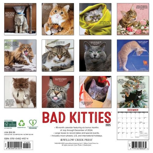 2025 Bad Kitties Wall Calendar by  Willow Creek Press from Calendar Club