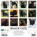 2025 Black Cats Wall Calendar by  Willow Creek Press from Calendar Club