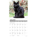 2025 Black Cats Wall Calendar by  Willow Creek Press from Calendar Club