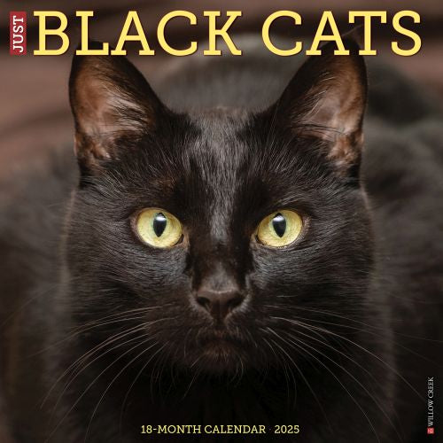 2025 Black Cats Wall Calendar by  Willow Creek Press from Calendar Club