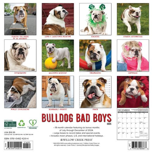 2025 Bulldog Bad Boys Wall Calendar by  Willow Creek Press from Calendar Club