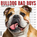 2025 Bulldog Bad Boys Wall Calendar by  Willow Creek Press from Calendar Club