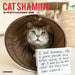 2025 Cat Shaming Wall Calendar by  Willow Creek Press from Calendar Club