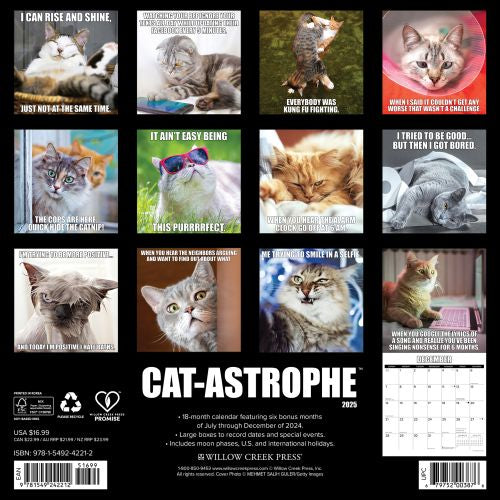 2025 Cat-astrophe Wall Calendar by  Willow Creek Press from Calendar Club