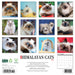 2025 Himalayan Cats Wall Calendar (Online Exclusive) by  Willow Creek Press from Calendar Club