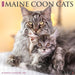 2025 Maine Coon Cats Wall Calendar by  Willow Creek Press from Calendar Club