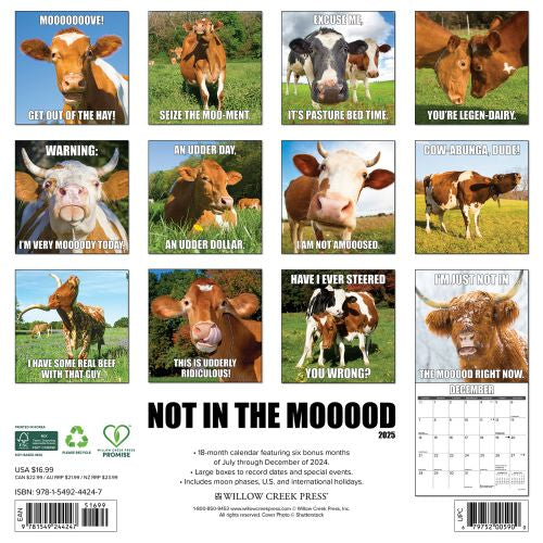 2025 Not in the Mooood Wall Calendar by  Willow Creek Press from Calendar Club