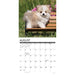 2025 Pomeranian Puppies Wall Calendar by  Willow Creek Press from Calendar Club