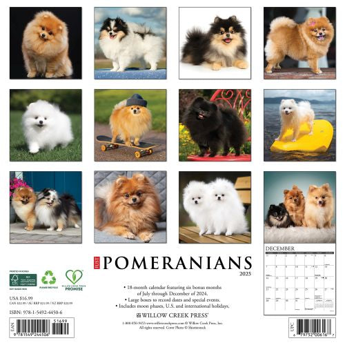 2025 Pomeranians Wall Calendar by  Willow Creek Press from Calendar Club