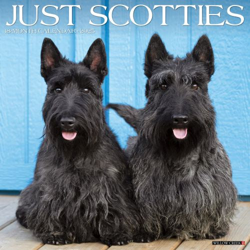 2025 Scotties Wall Calendar by  Willow Creek Press from Calendar Club