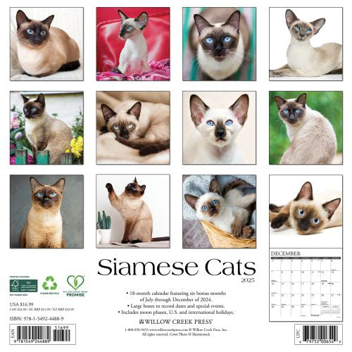 2025 Siamese Cats Wall Calendar by  Willow Creek Press from Calendar Club