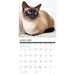 2025 Siamese Cats Wall Calendar by  Willow Creek Press from Calendar Club