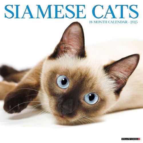 2025 Siamese Cats Wall Calendar by  Willow Creek Press from Calendar Club