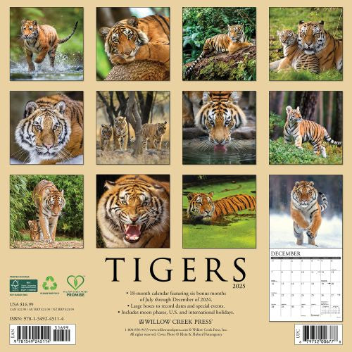 2025 Tigers Wall Calendar by  Willow Creek Press from Calendar Club