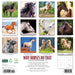 2025 Why Horses Do That Wall Calendar by  Willow Creek Press from Calendar Club