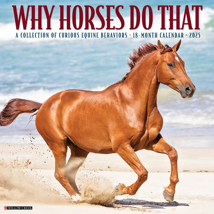 2025 Why Horses Do That Wall Calendar by  Willow Creek Press from Calendar Club