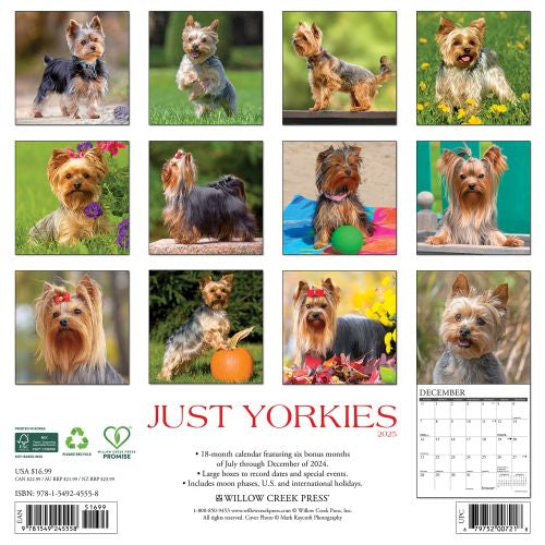 2025 Yorkies Wall Calendar by  Willow Creek Press from Calendar Club