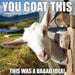 2025 You Goat This Wall Calendar by  Willow Creek Press from Calendar Club