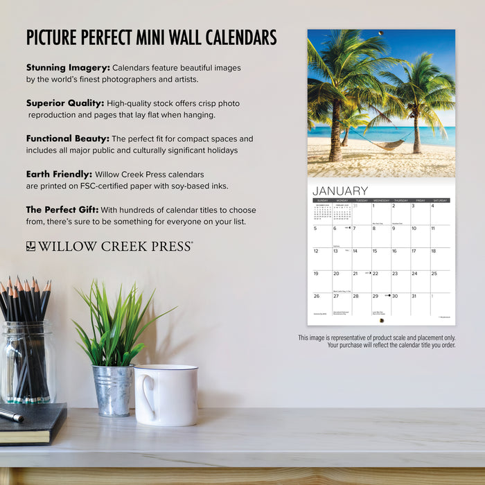 2025 Bad Dad Jokes Mini Wall Calendar by  Willow Creek Press from Calendar Club