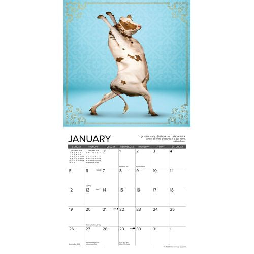 2025 Cow Yoga Mini Wall Calendar