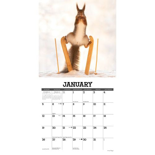 2025 Gettin' Squirrelly Mini Wall Calendar